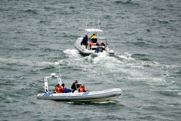 Whale Watching Depoe Bay Oregon Coast
